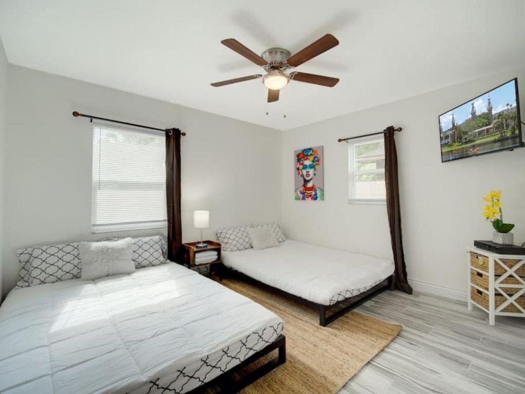 Modern Bayshore Home 50 Τάμπα Εξωτερικό φωτογραφία